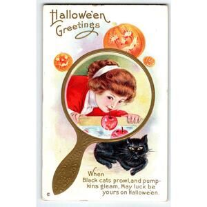 Antique Halloween Postcard Mirror Girl Black Cat 248 Stecher Pumpkin Apples 1912